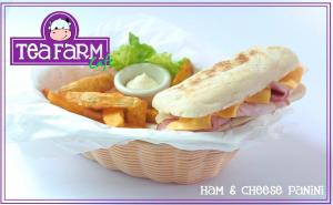 Ham & Cheese Panini