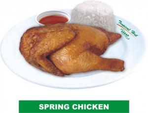 spring chicken