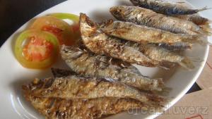 fried tawilis