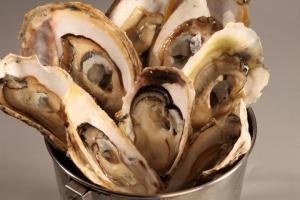 fresh oyster