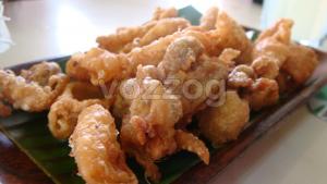 chicken skin