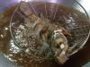 Deep-Fried Or In Chili Sauce Lapu-Lapu