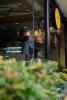 Figaro coffee company