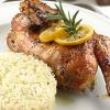 Pollo