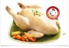 Chicken Poached