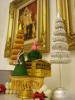 ThaiDara 