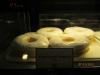 Honey Glazed Doughnut