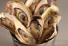 Fresh Oysters