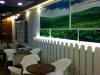 Tea Farm